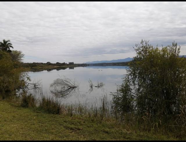 123HA FARM FOR SALE IN LEVUBU